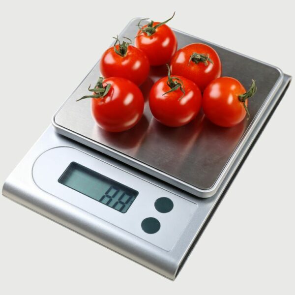 Compact Digital Kitchen Scale